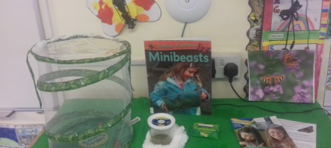 Our Minibeast Study