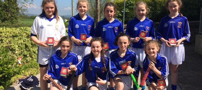 Mini 7’s Camogie Win County Final