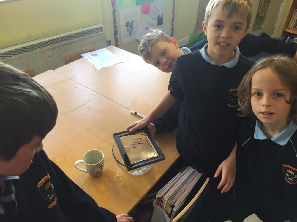 4th Class Science Week Ballintotas National School